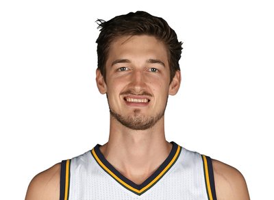 Tibor Pleiss