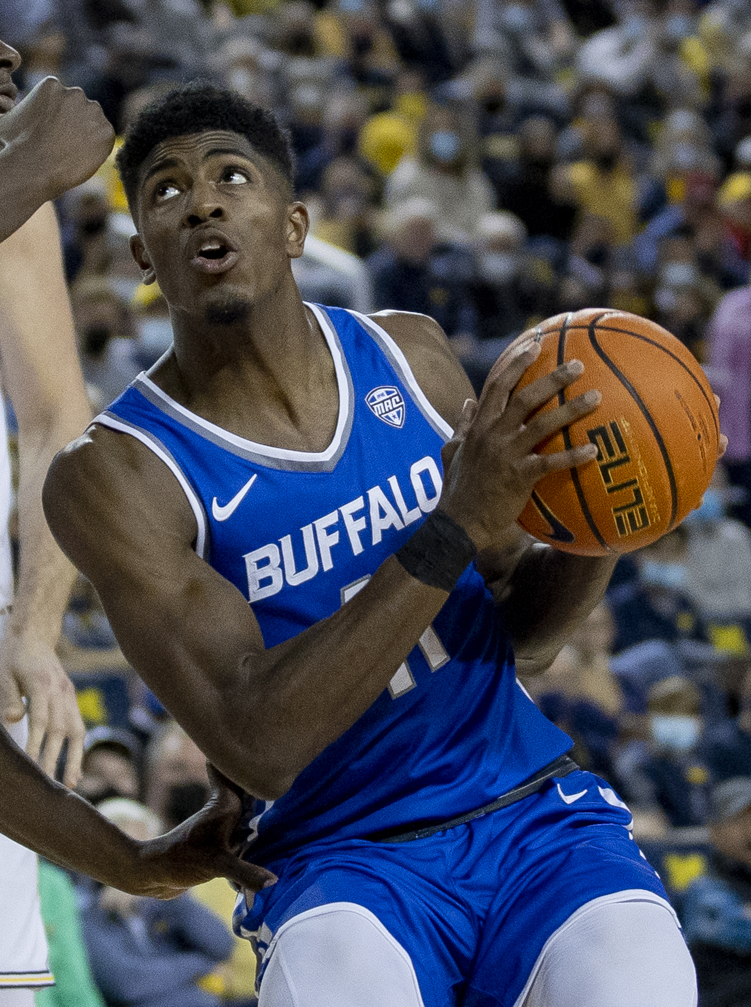 Nate Williams