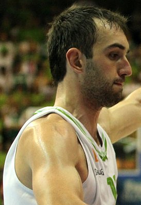 Mirza Begic