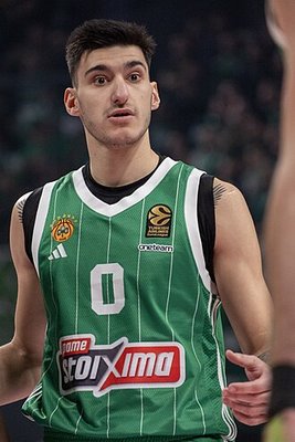 Panagiotis Kalaitzakis