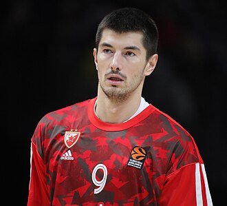 Luka Mitrovic