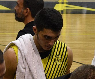 Alexandros Nikolaidis