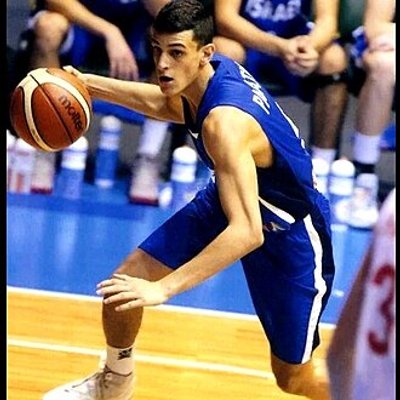 Guy Palatin