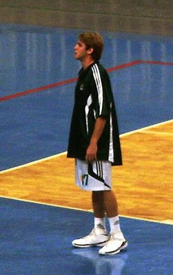 Dimitrios Verginis
