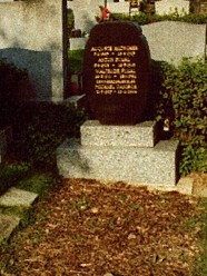 Michael Janisch