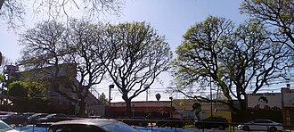 Estadio Juan Pasquale