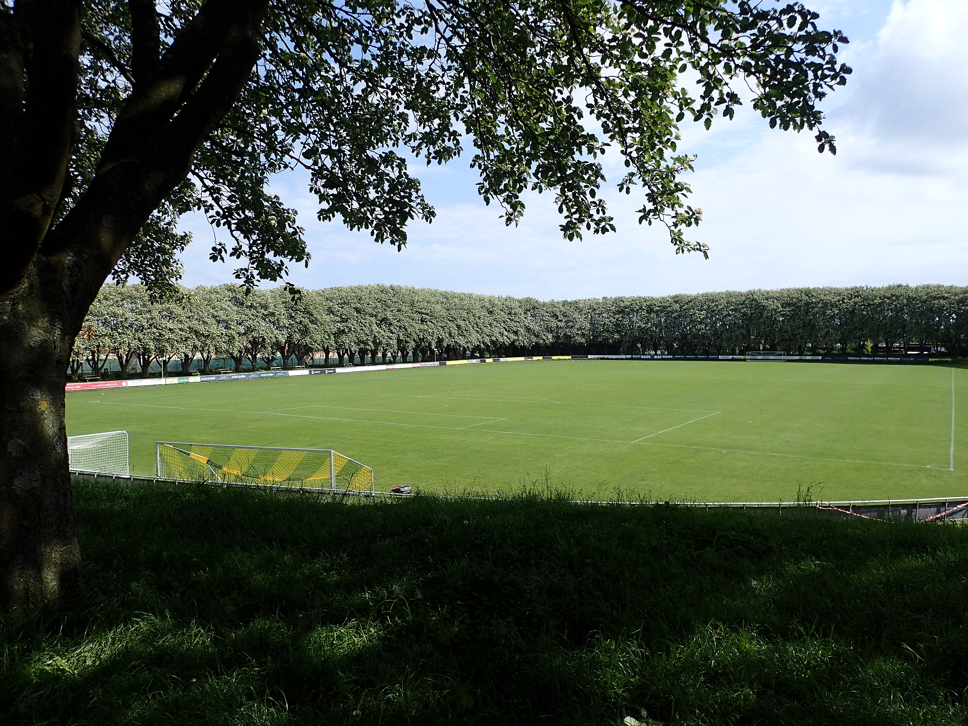 Riisvangen Stadium