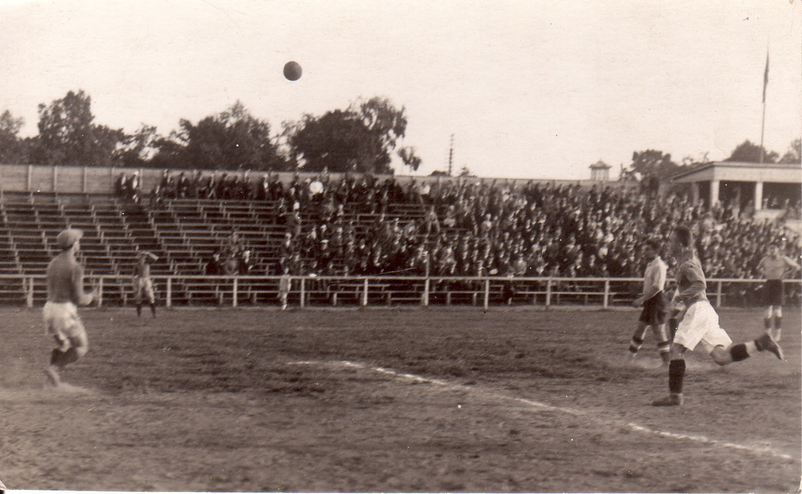 TJK Stadium
