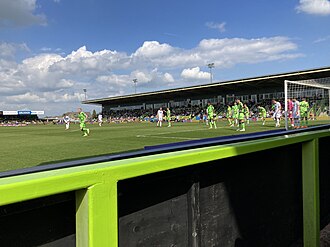 The New Lawn