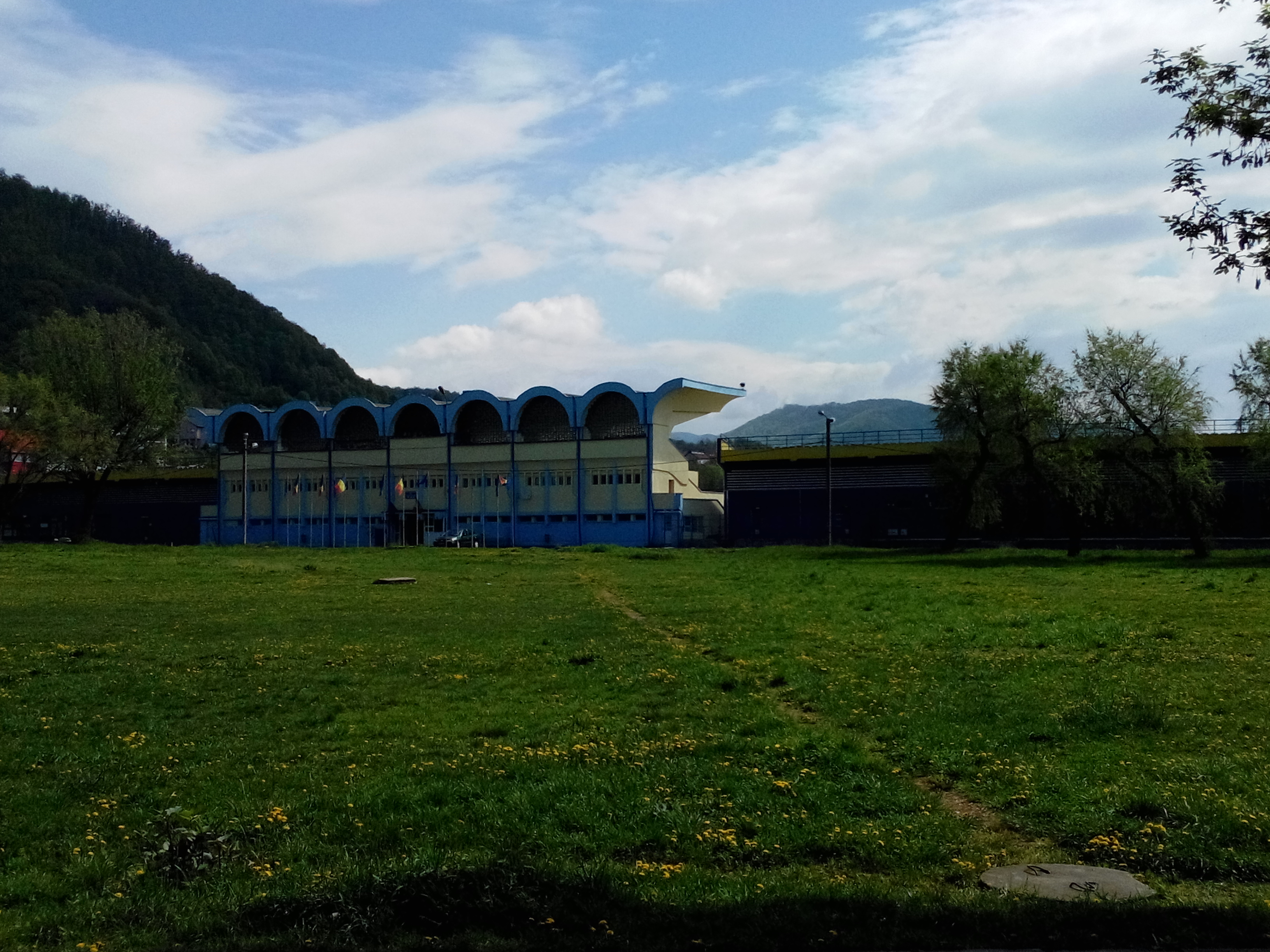 Viorel Mateianu Stadium