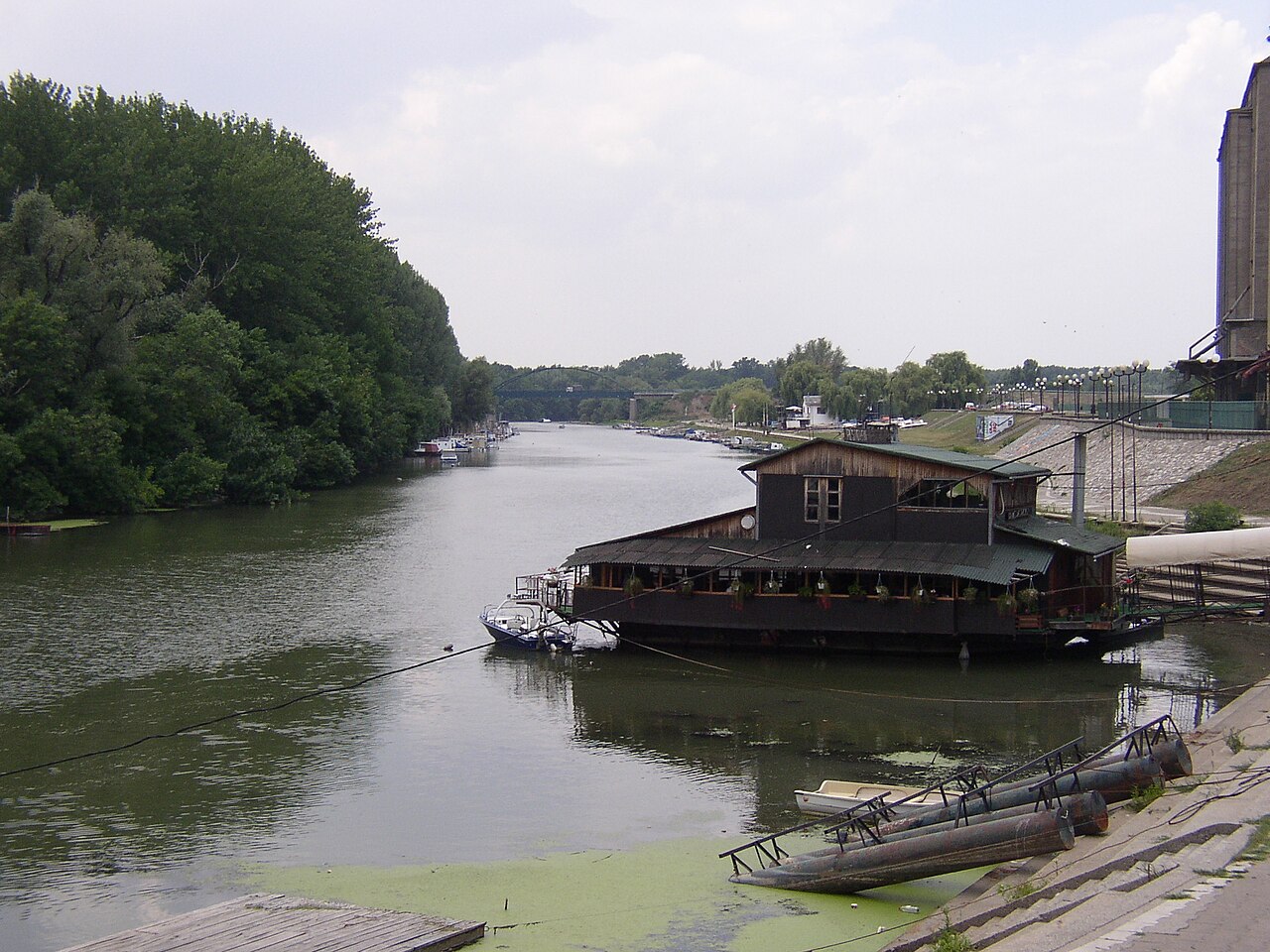 Tamiš